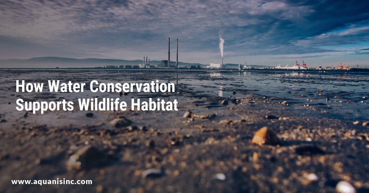 How Water Conservation Supports Wildlife Habitat
