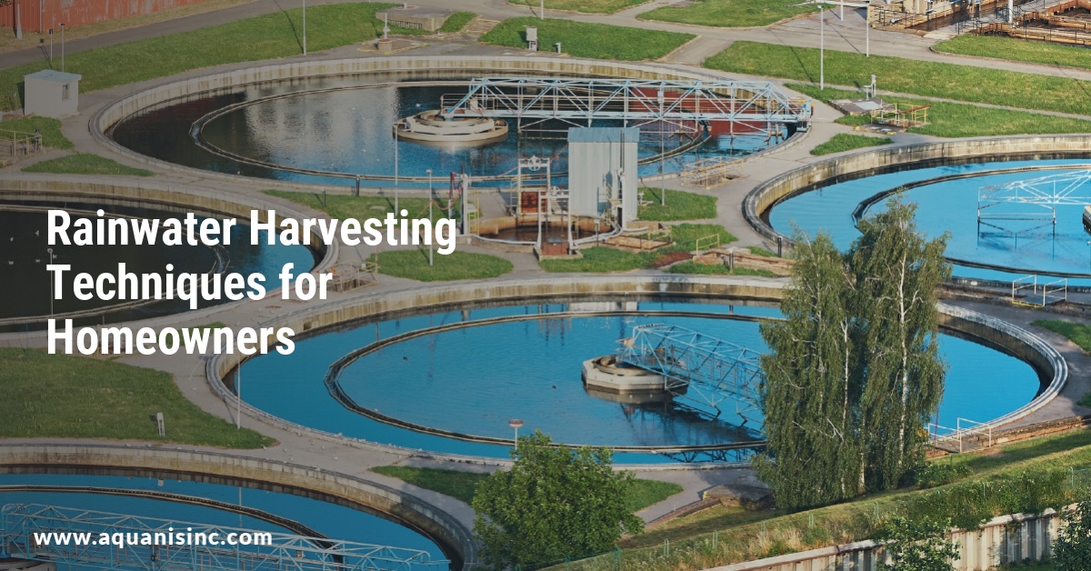 Rainwater Harvesting Techniques for Homeowners