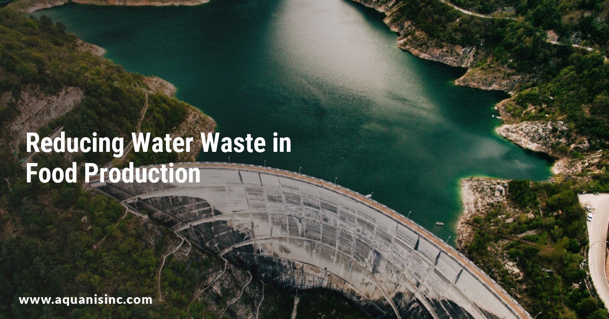 Reducing Water Waste in Food Production