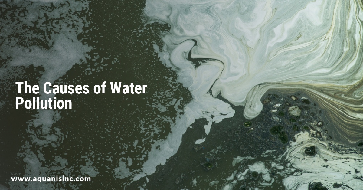 The Causes of Water Pollution
