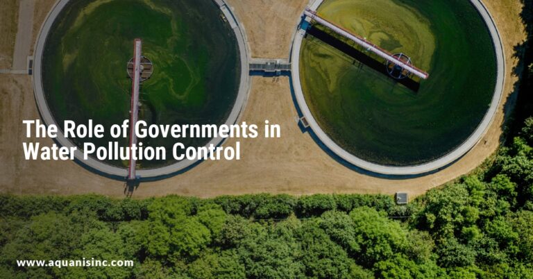 The Role of Governments in Water Pollution Control
