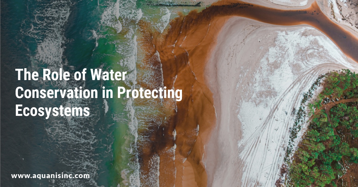 The Role of Water Conservation in Protecting Ecosystems
