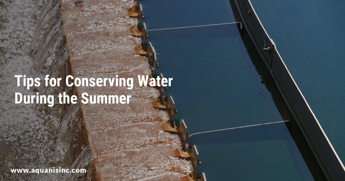 Tips for Conserving Water During the Summer
