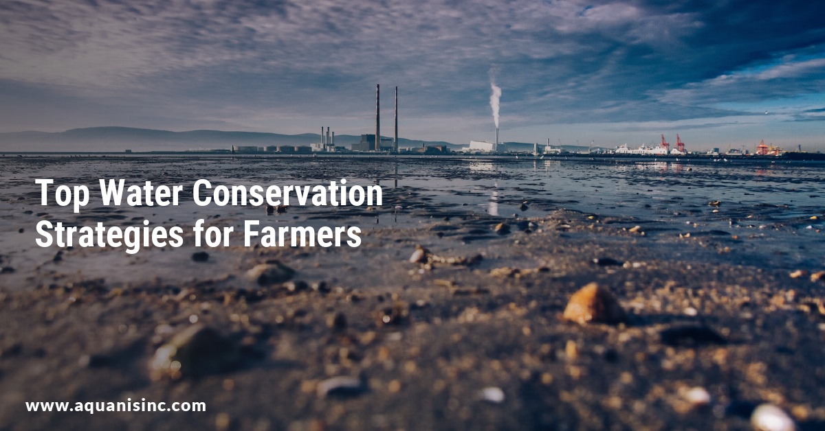 Top Water Conservation Strategies for Farmers